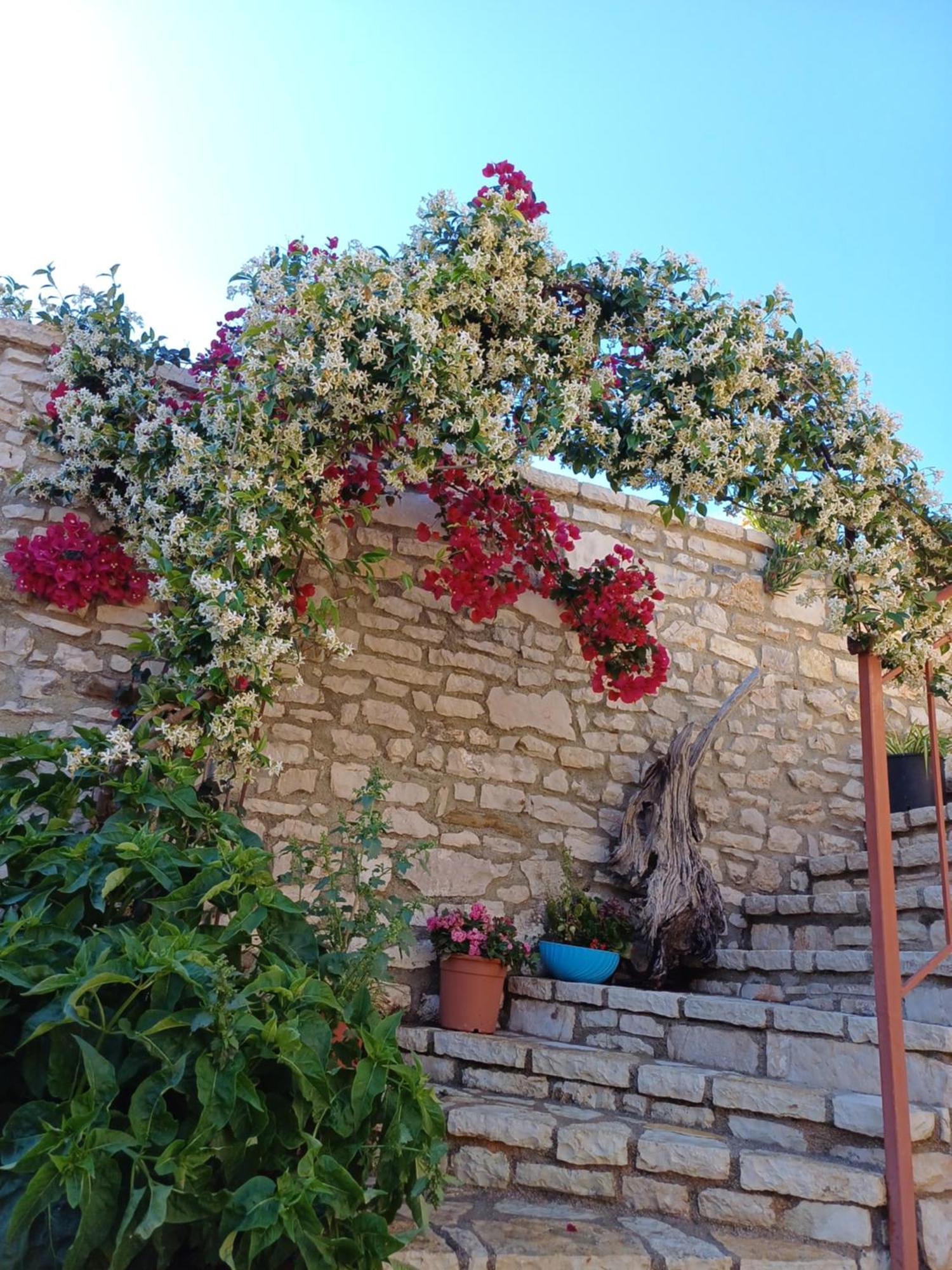 Villa Porta צ'פרו מראה חיצוני תמונה